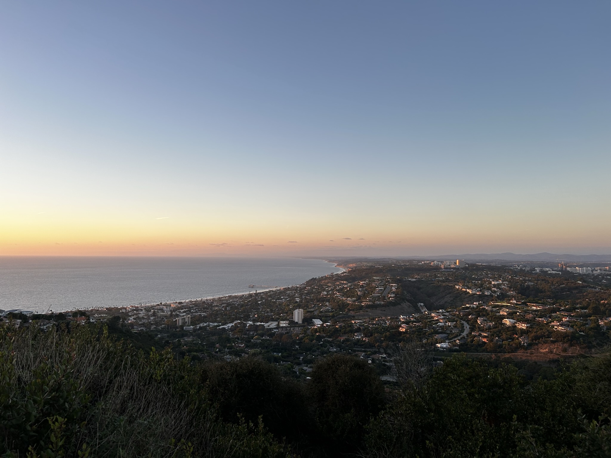 view