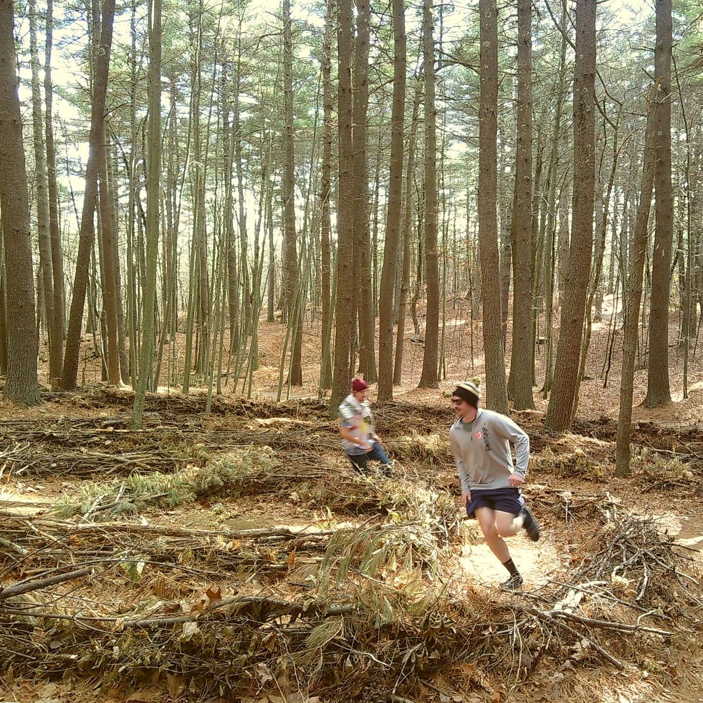 woods